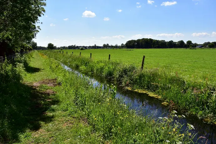 a river running through a lush green field
